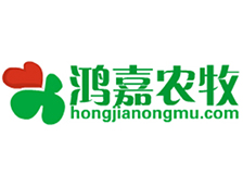 ũ