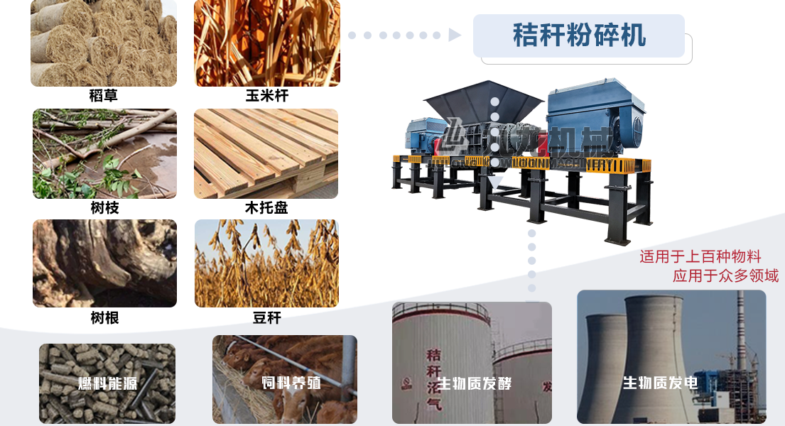 豸